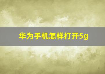 华为手机怎样打开5g