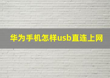 华为手机怎样usb直连上网