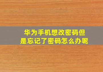 华为手机想改密码但是忘记了密码怎么办呢