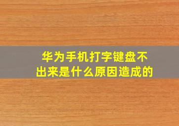 华为手机打字键盘不出来是什么原因造成的