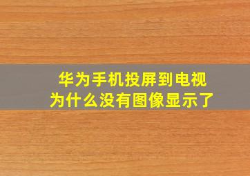 华为手机投屏到电视为什么没有图像显示了