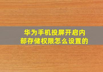 华为手机投屏开启内部存储权限怎么设置的