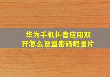 华为手机抖音应用双开怎么设置密码呢图片