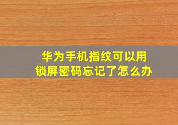 华为手机指纹可以用锁屏密码忘记了怎么办