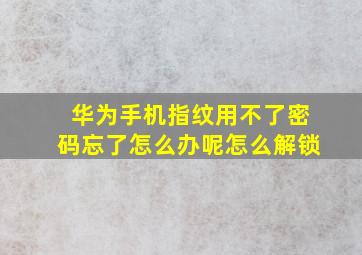 华为手机指纹用不了密码忘了怎么办呢怎么解锁