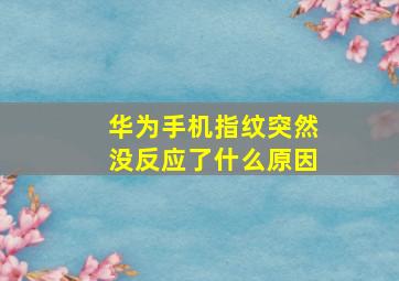 华为手机指纹突然没反应了什么原因