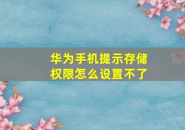 华为手机提示存储权限怎么设置不了