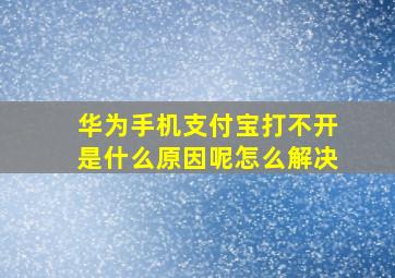 华为手机支付宝打不开是什么原因呢怎么解决