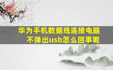 华为手机数据线连接电脑不弹出usb怎么回事呢