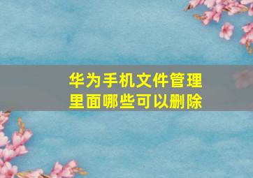 华为手机文件管理里面哪些可以删除