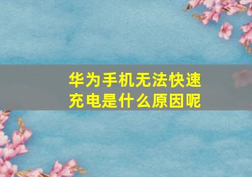 华为手机无法快速充电是什么原因呢