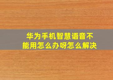 华为手机智慧语音不能用怎么办呀怎么解决