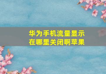 华为手机流量显示在哪里关闭啊苹果