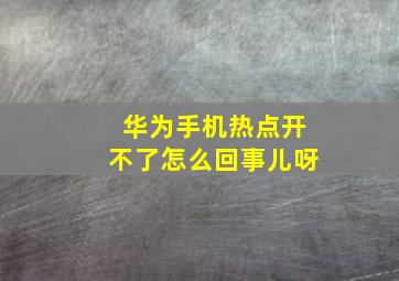 华为手机热点开不了怎么回事儿呀