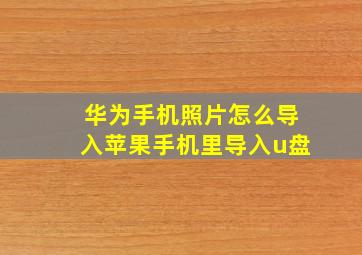 华为手机照片怎么导入苹果手机里导入u盘