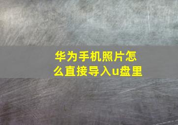 华为手机照片怎么直接导入u盘里