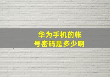 华为手机的帐号密码是多少啊