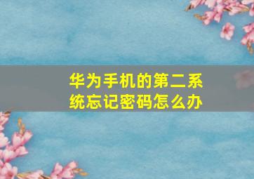 华为手机的第二系统忘记密码怎么办