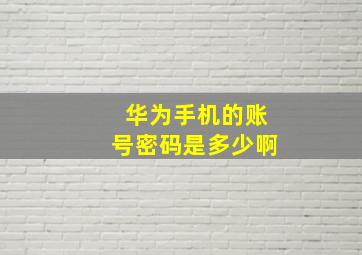 华为手机的账号密码是多少啊