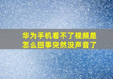 华为手机看不了视频是怎么回事突然没声音了