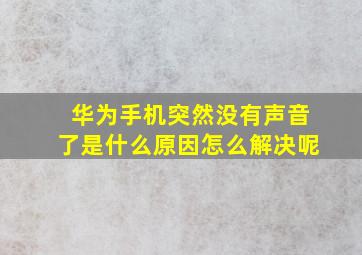 华为手机突然没有声音了是什么原因怎么解决呢