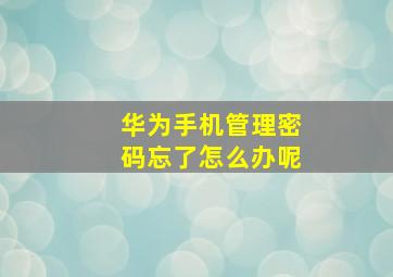 华为手机管理密码忘了怎么办呢