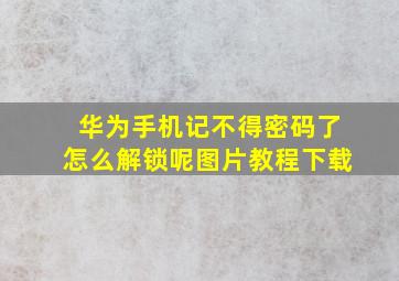 华为手机记不得密码了怎么解锁呢图片教程下载