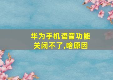 华为手机语音功能关闭不了,啥原因