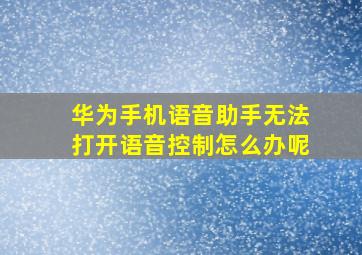 华为手机语音助手无法打开语音控制怎么办呢