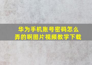 华为手机账号密码怎么弄的啊图片视频教学下载