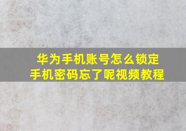 华为手机账号怎么锁定手机密码忘了呢视频教程