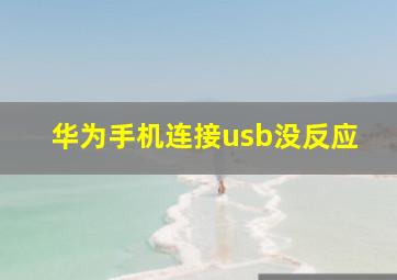 华为手机连接usb没反应