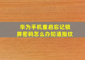 华为手机重启忘记锁屏密码怎么办知道指纹