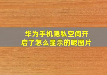 华为手机隐私空间开启了怎么显示的呢图片