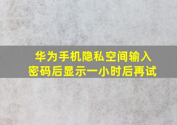 华为手机隐私空间输入密码后显示一小时后再试