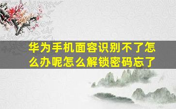 华为手机面容识别不了怎么办呢怎么解锁密码忘了