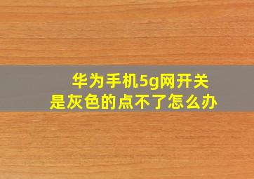 华为手机5g网开关是灰色的点不了怎么办