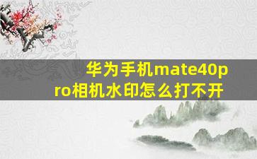 华为手机mate40pro相机水印怎么打不开