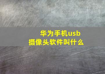 华为手机usb摄像头软件叫什么