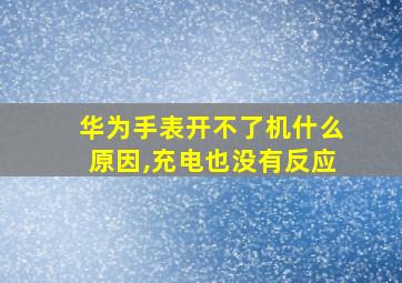 华为手表开不了机什么原因,充电也没有反应