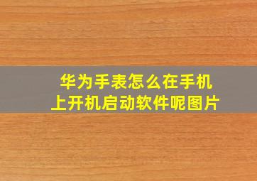 华为手表怎么在手机上开机启动软件呢图片