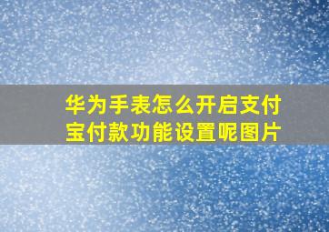 华为手表怎么开启支付宝付款功能设置呢图片