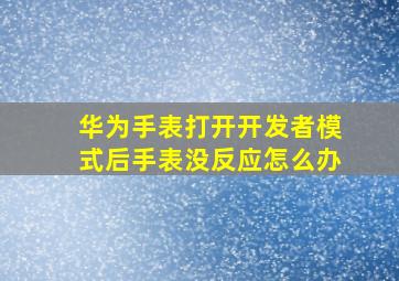 华为手表打开开发者模式后手表没反应怎么办