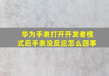 华为手表打开开发者模式后手表没反应怎么回事