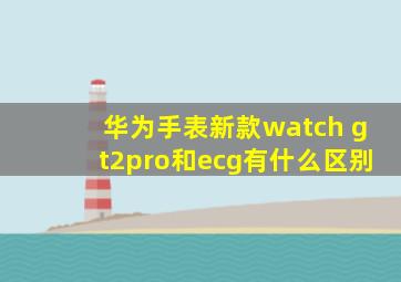 华为手表新款watch gt2pro和ecg有什么区别