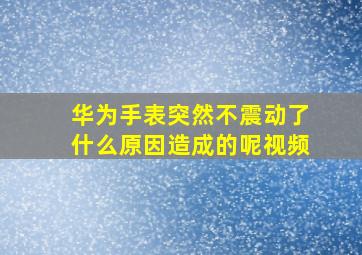 华为手表突然不震动了什么原因造成的呢视频