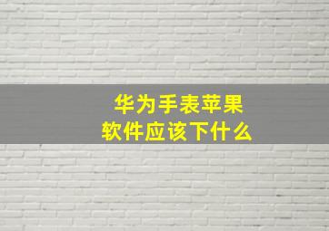 华为手表苹果软件应该下什么