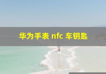 华为手表 nfc 车钥匙