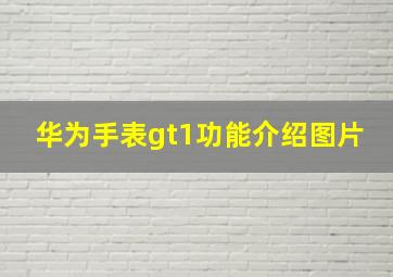 华为手表gt1功能介绍图片