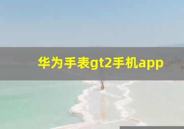 华为手表gt2手机app